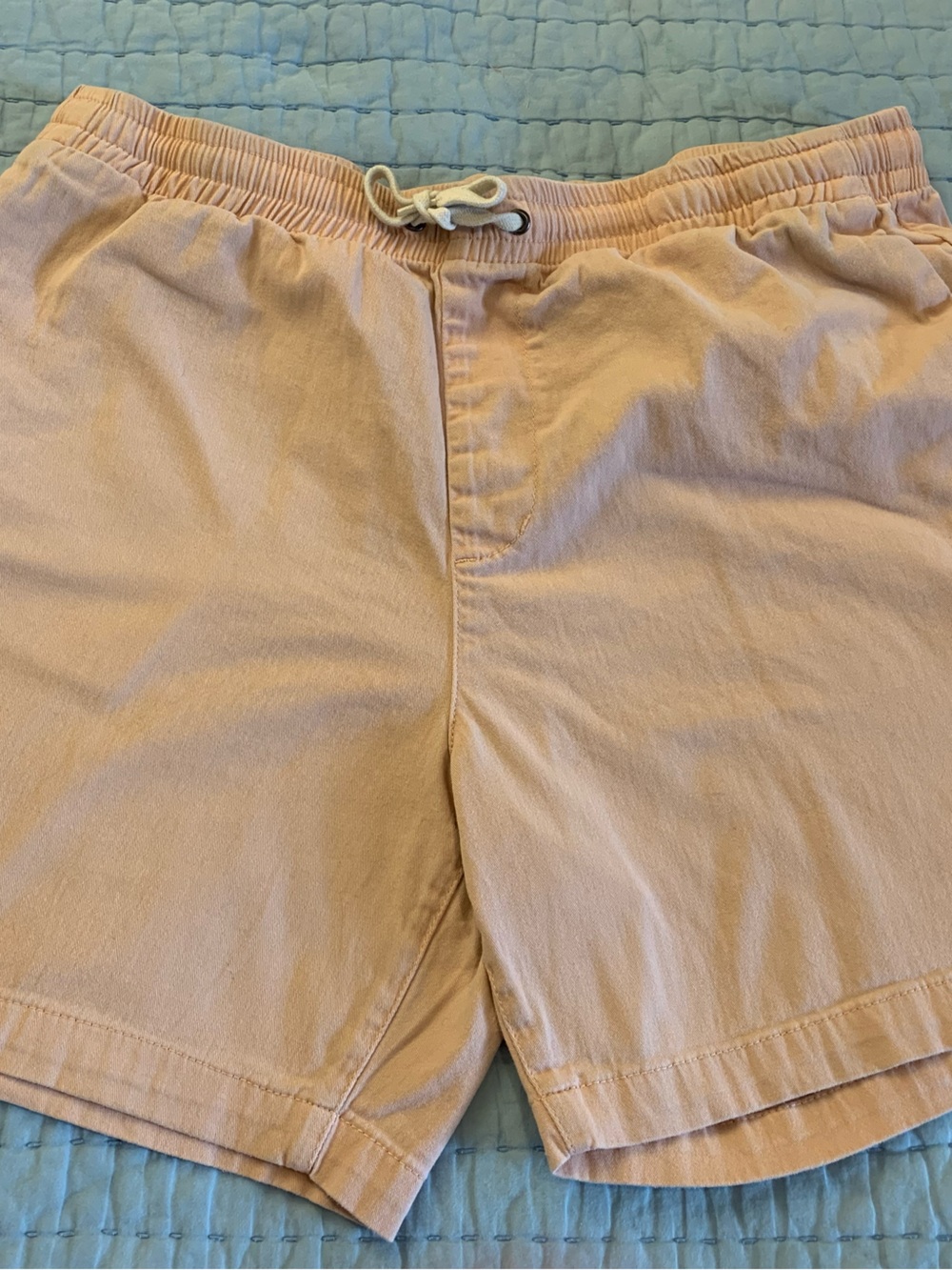 PacSun Peach Light Pink Cotton Drawstring Casual Shorts | L